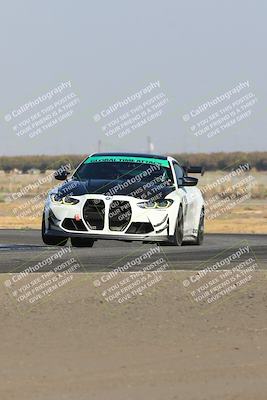 media/Nov-09-2024-GTA Finals Buttonwillow (Sat) [[c24c1461bf]]/Group 2/Session 1 (Sweeper)/